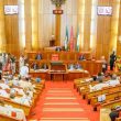 Senate committee on ICT manipulated NITDA Bill report, dubiously trying to scale bill into law- Gbenga Sesan