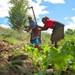 Kitovu Wants to Solve Africa’s $100bn Agricultural Problem!
