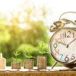 # Ways to Generate Revenue from your website