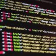 Protecting Your Codebase: Essential Cybersecurity Practices for Developers