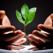 Easy and Effective Cash Management Strategies for Tech Startups