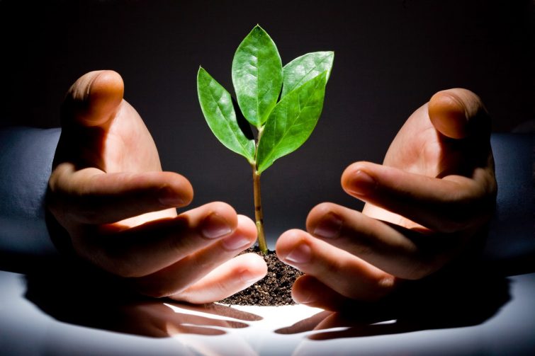 Easy and Effective Cash Management Strategies for Tech Startups