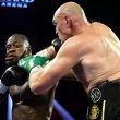 Furious Fury put the whopping on Wilder, forcing his corner to throw in the towel in the 7th round