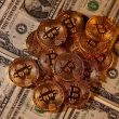 BTC bounces back: market guru reveals must-have coins for explosive gains