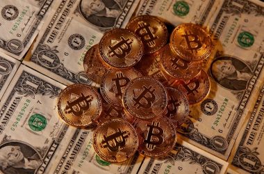 BTC bounces back: market guru reveals must-have coins for explosive gains