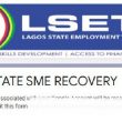 Looted Stores; How to Apply for Lagos State Employment Trust Fund for Small Businesses