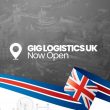 "We Want to Bridge the Gap with Overseas Shipping" - GIG Logistics' Ariyo Oluboye Speaks on UK Expansion