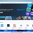 windows 11