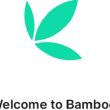 Bamboo