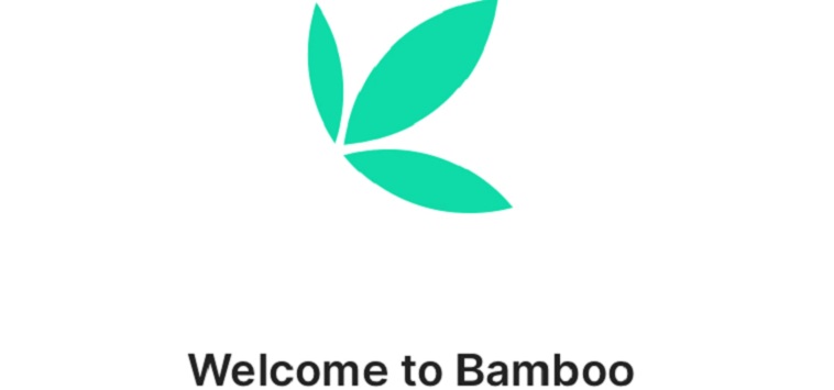 Bamboo
