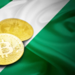 Nigerian crypto foreign investment reaches new low