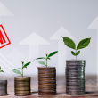 how How to spot investment scams