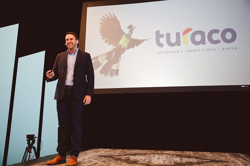 Turaco