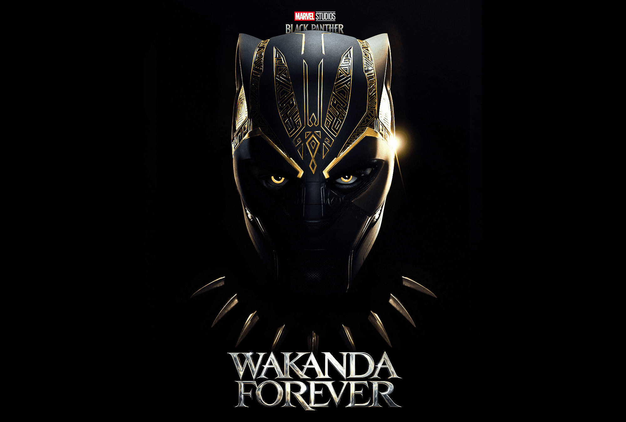 Black Panther- Wakanda Forever