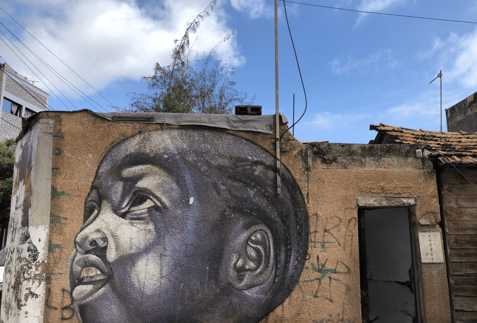 Design Indaba partners with Google to showcase African creatives through Colours of Africa project