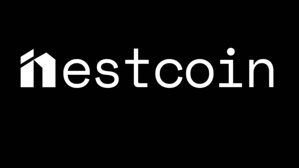 Nigerian Web3 startup Nestcoin raises $1.9m to develop its digital wallet, Onboard