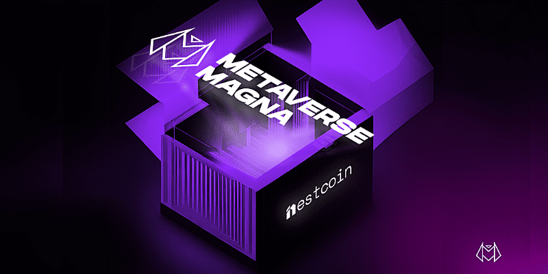 Nestcoin spins off Metaverse Magna (MVM), names Yemi Johnson as CEO