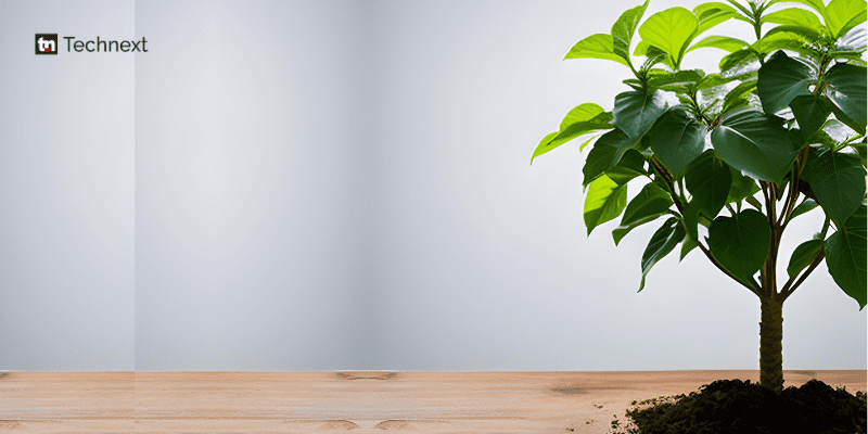 Climate tech edges fintech, attracts 45% of Africa startup funding in 2024 so far