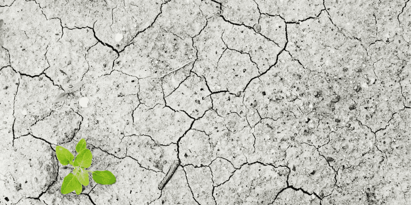 Climate change in Africa