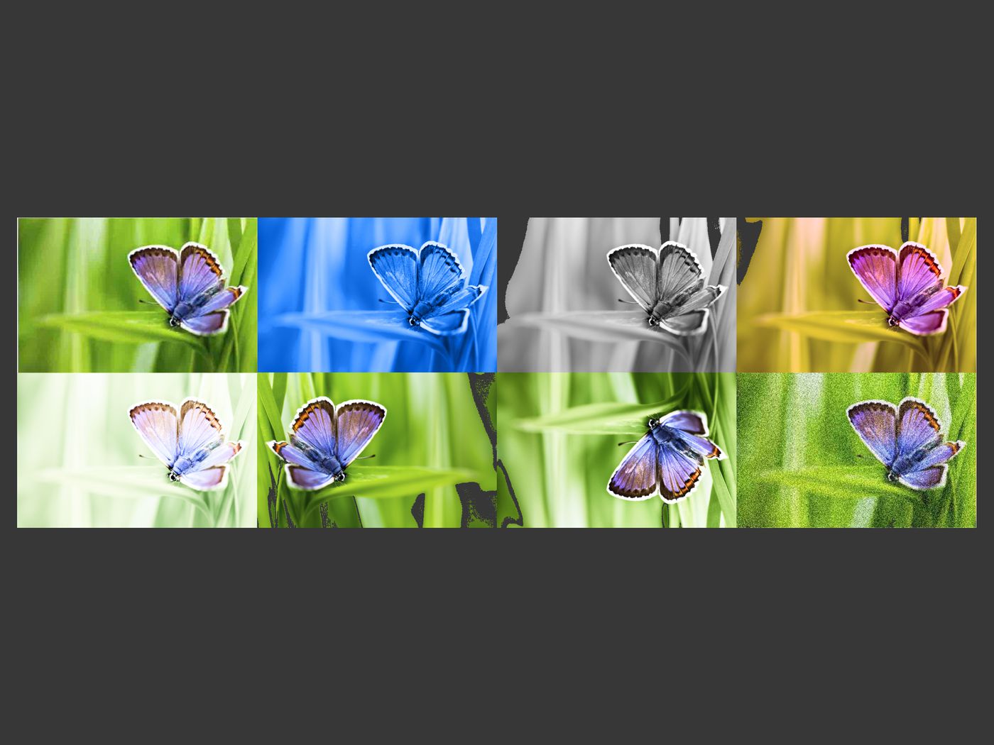 SynthID watermark tool for AI images