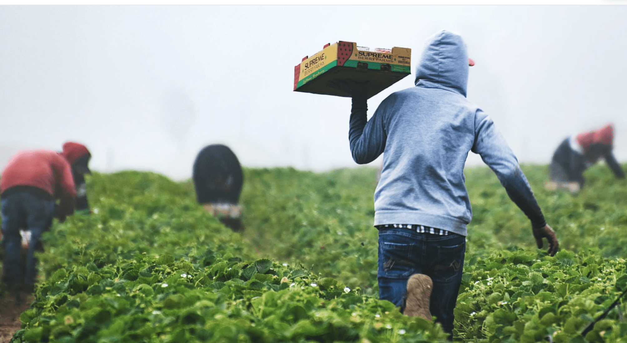 Complete Farmer