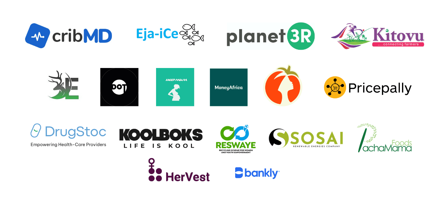 HelpMum, Bankly among 17 finalists selected by UNDP-EU for Nigeria's Growth Stage Impact Ventures Program