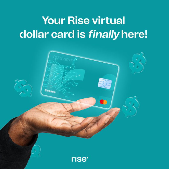 Risevest Dollar virtual card