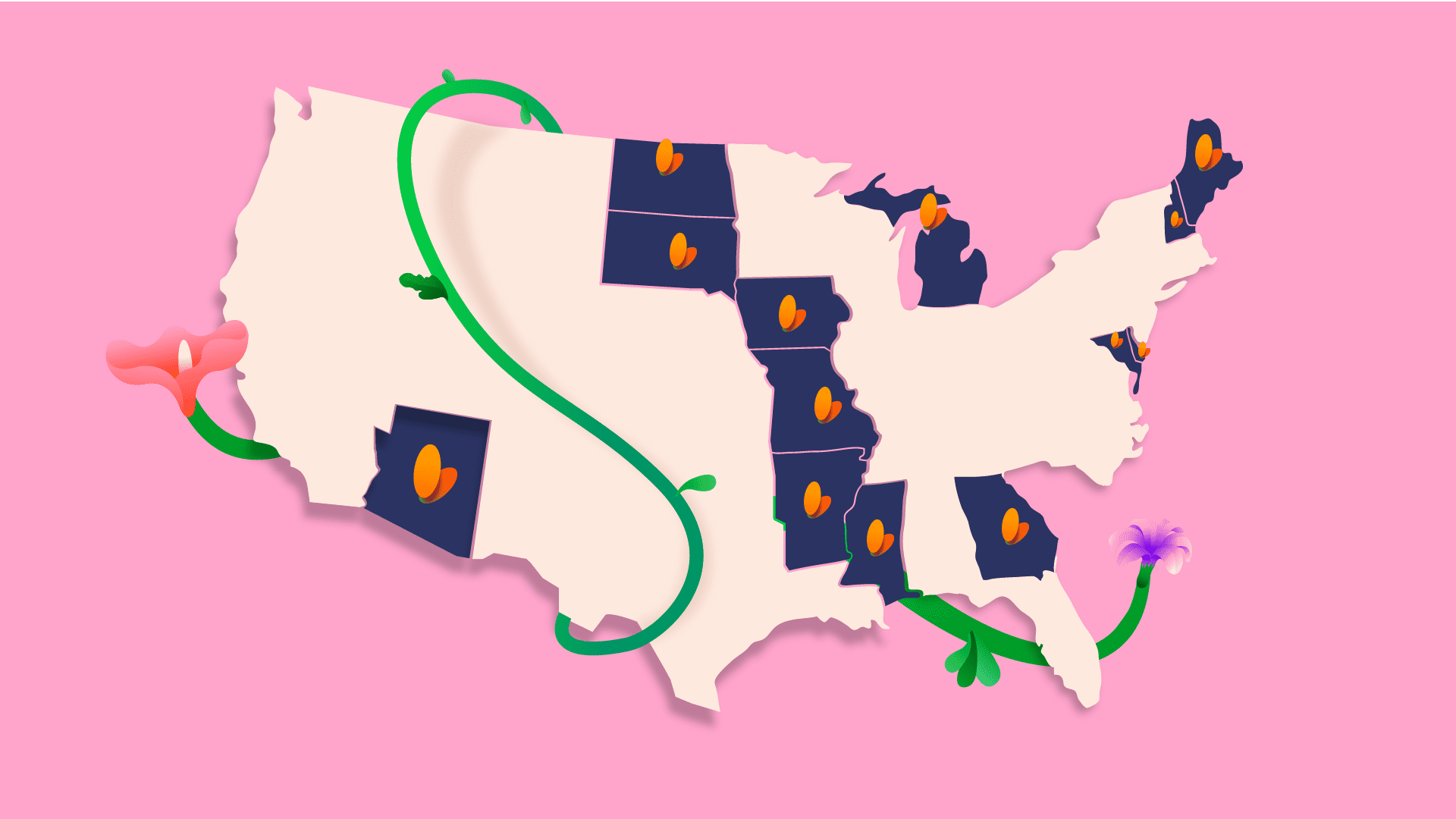 Flutterwave secures 13 new money transmission licenses in the U.S