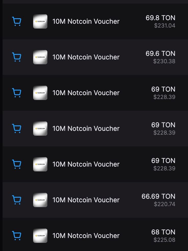 Notcoin NFT Vouchers