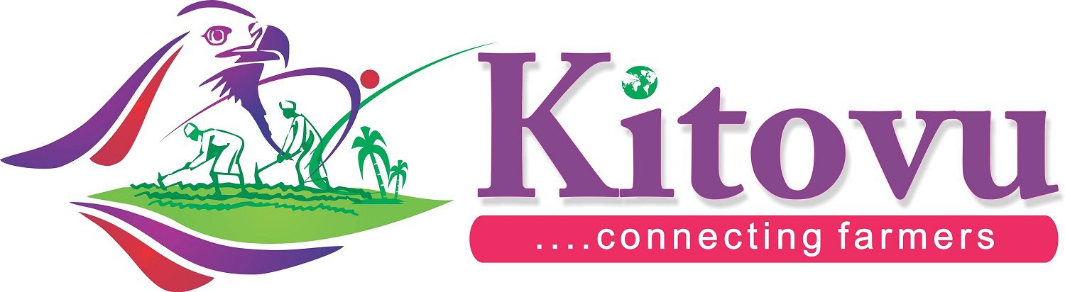 Nigerian agritech startup Kitovu makes Qualcomm Make in Africa 2024 cohort