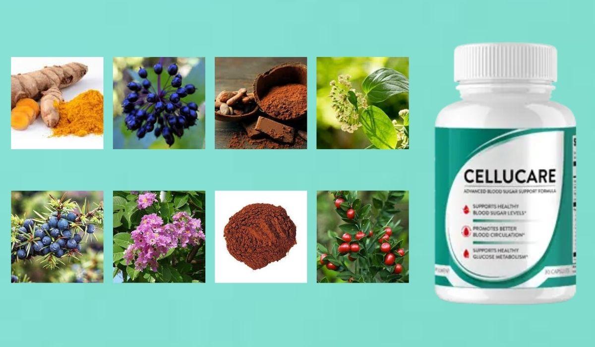 CelluCare Reviews: Side Effects, Expert Analysis, Ingredients, and Real Customer Report!