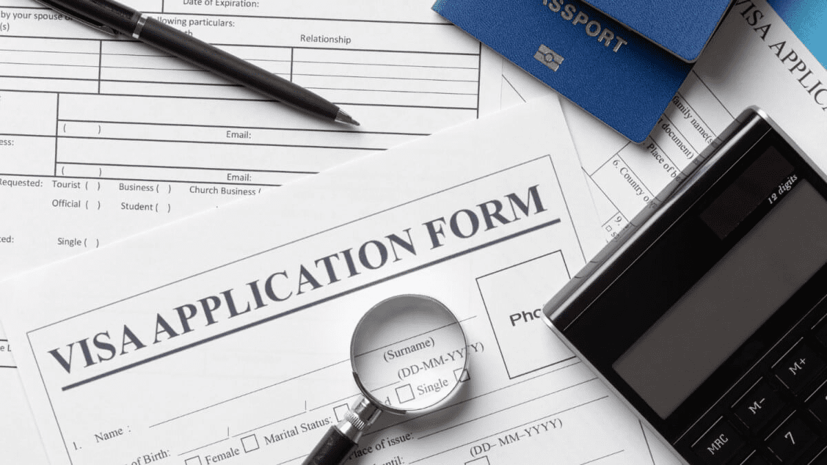 A step-by-step review of the South African e-Visa application process
