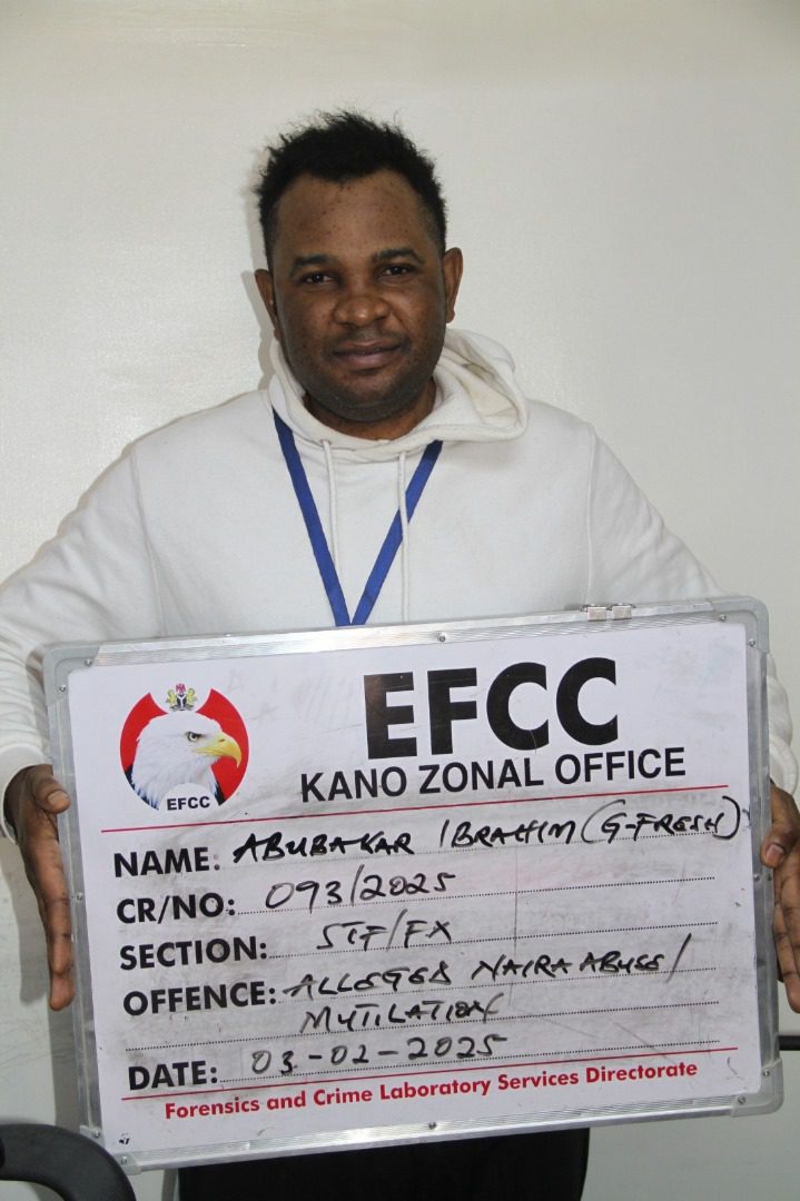 Kano Federal High Court jails a TikToker and a musician for naira abuse