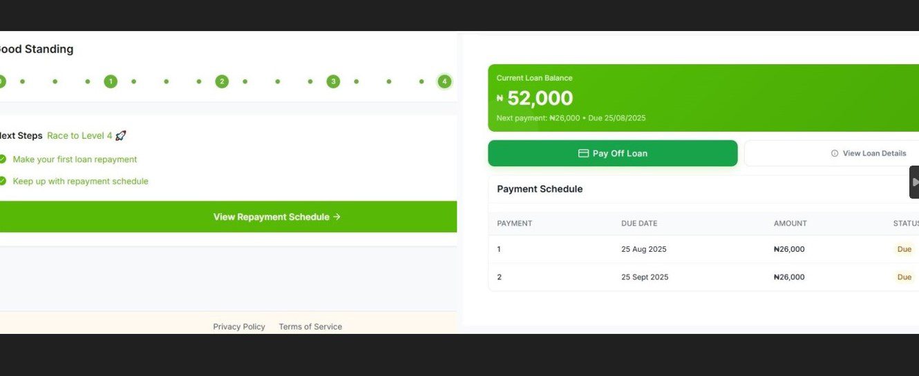Repayment