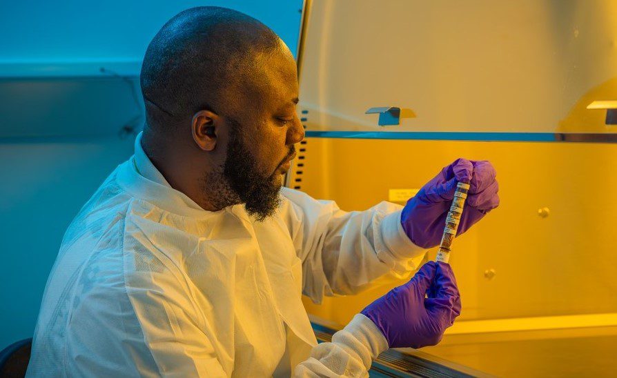 Nigerian scientist, Temidayo Oniosun is sending "Egusi" seeds to Space