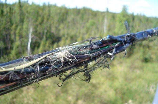 Telecom infrastructure vandalism