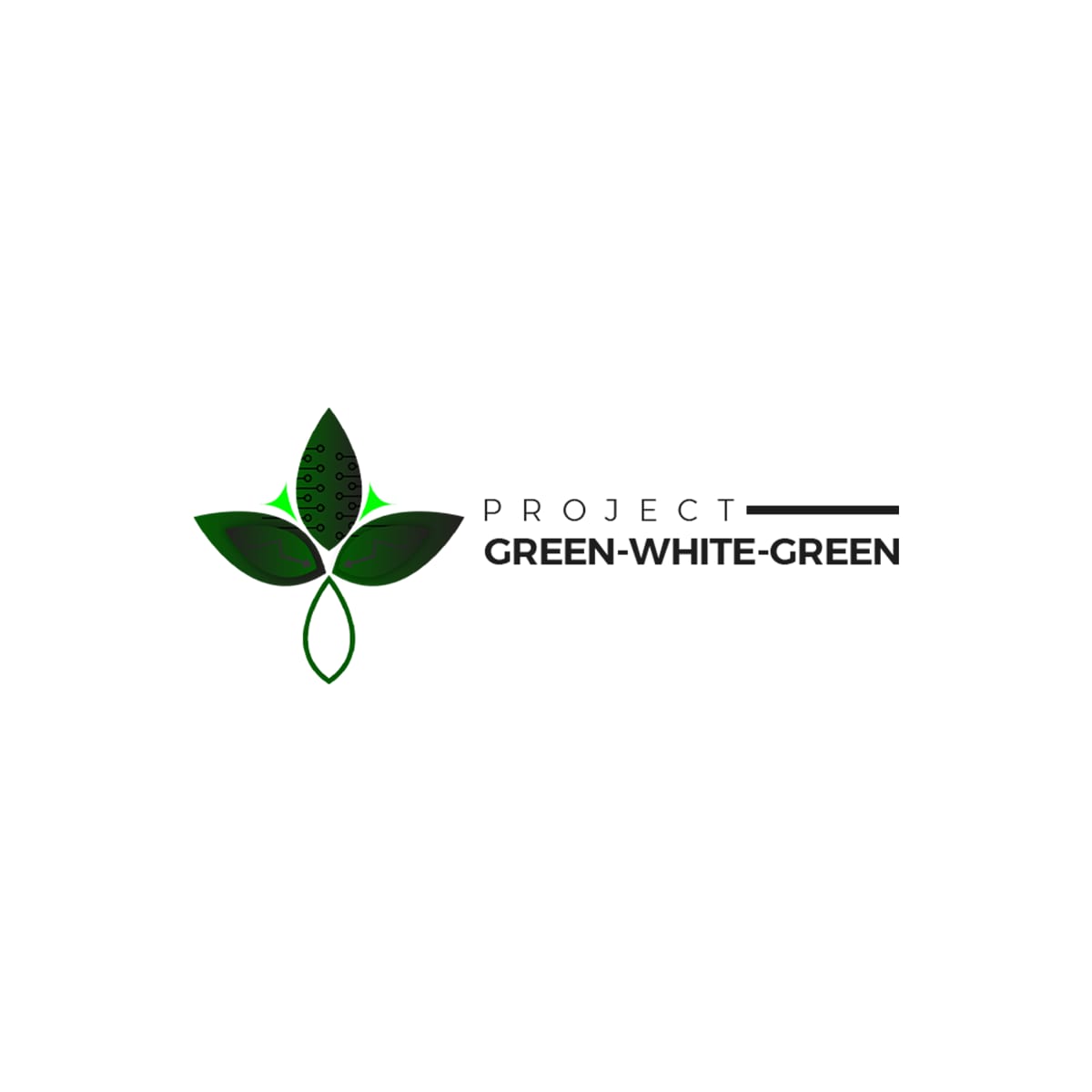 Virtual Asset Association launches Project Green-White-Green to unlock Nigeria’s $1 trillion economy