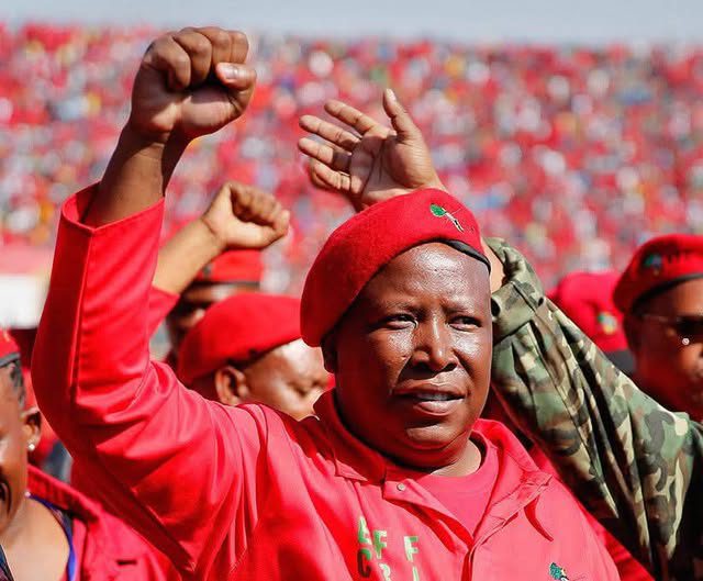 Economic Freedom Fighters (EFF) leader Julius Malema